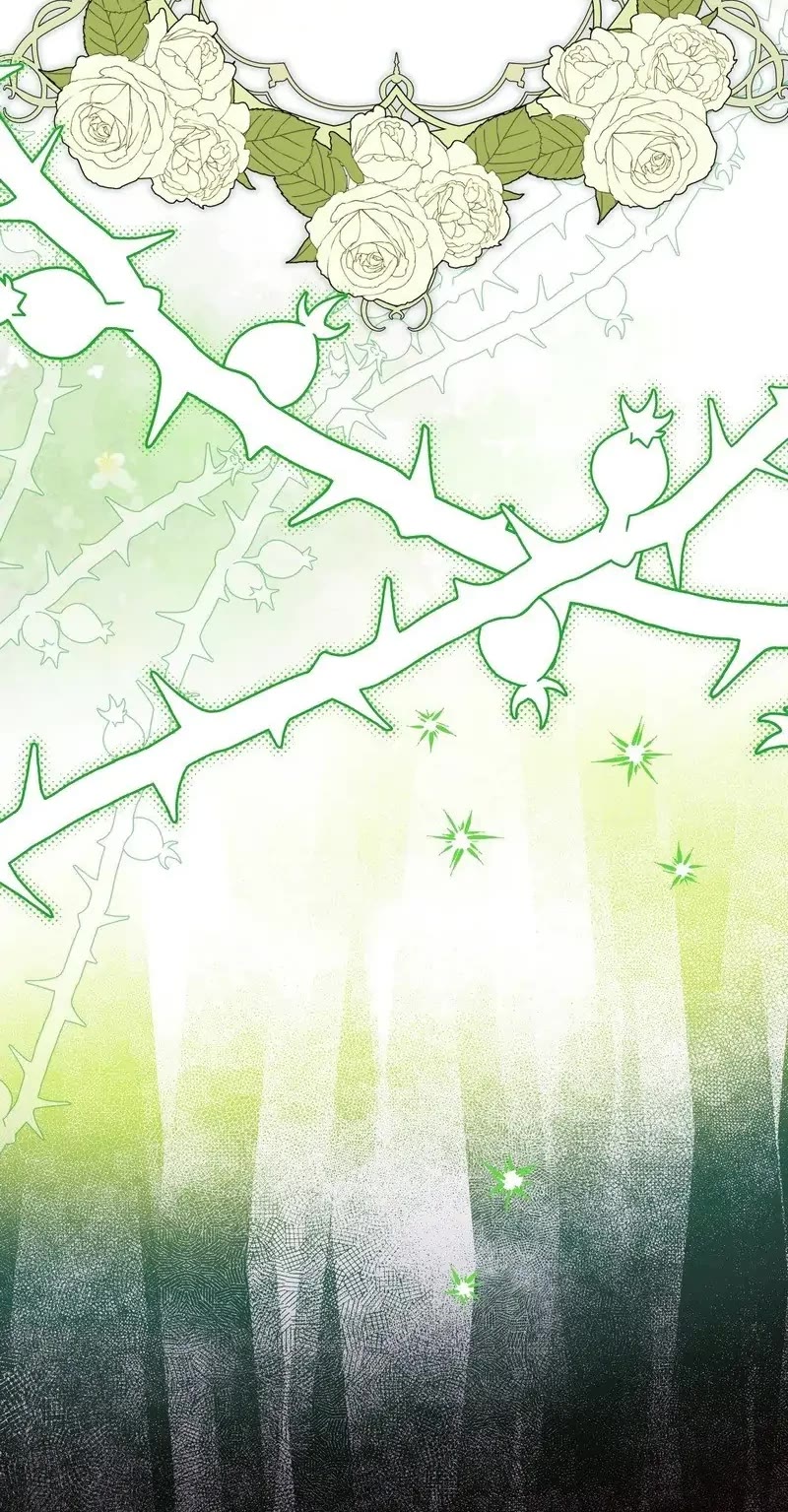 Read Another Typical Fantasy Romance Manga Online