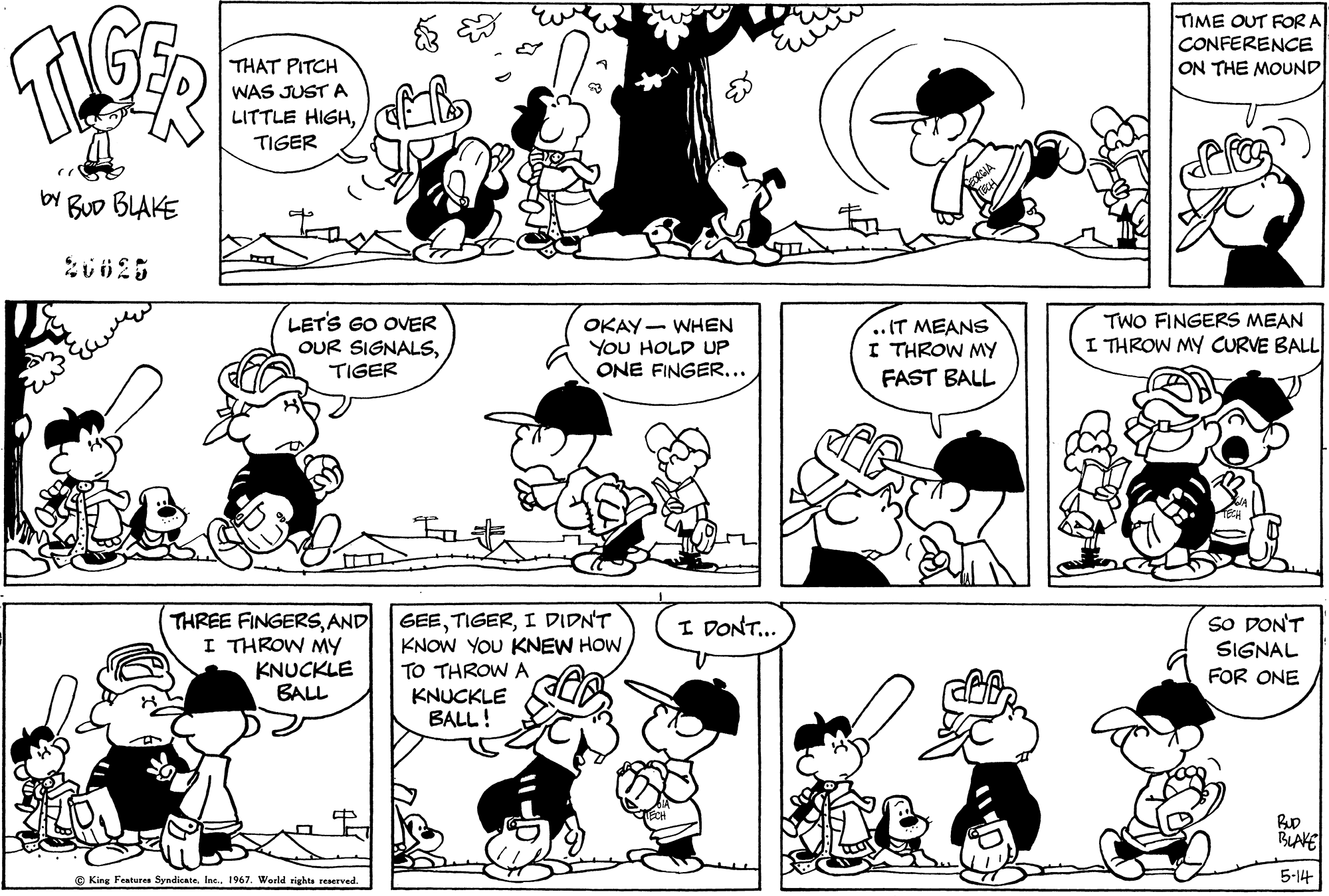 Read Tiger Vintage Sundays Manga Online