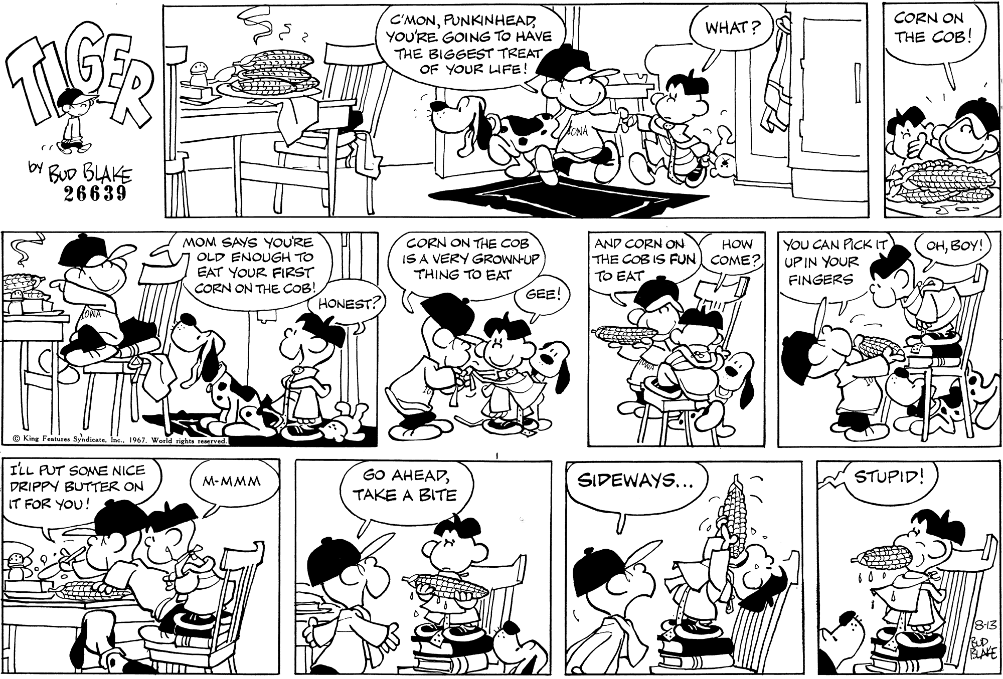 Read Tiger Vintage Sundays Manga Online