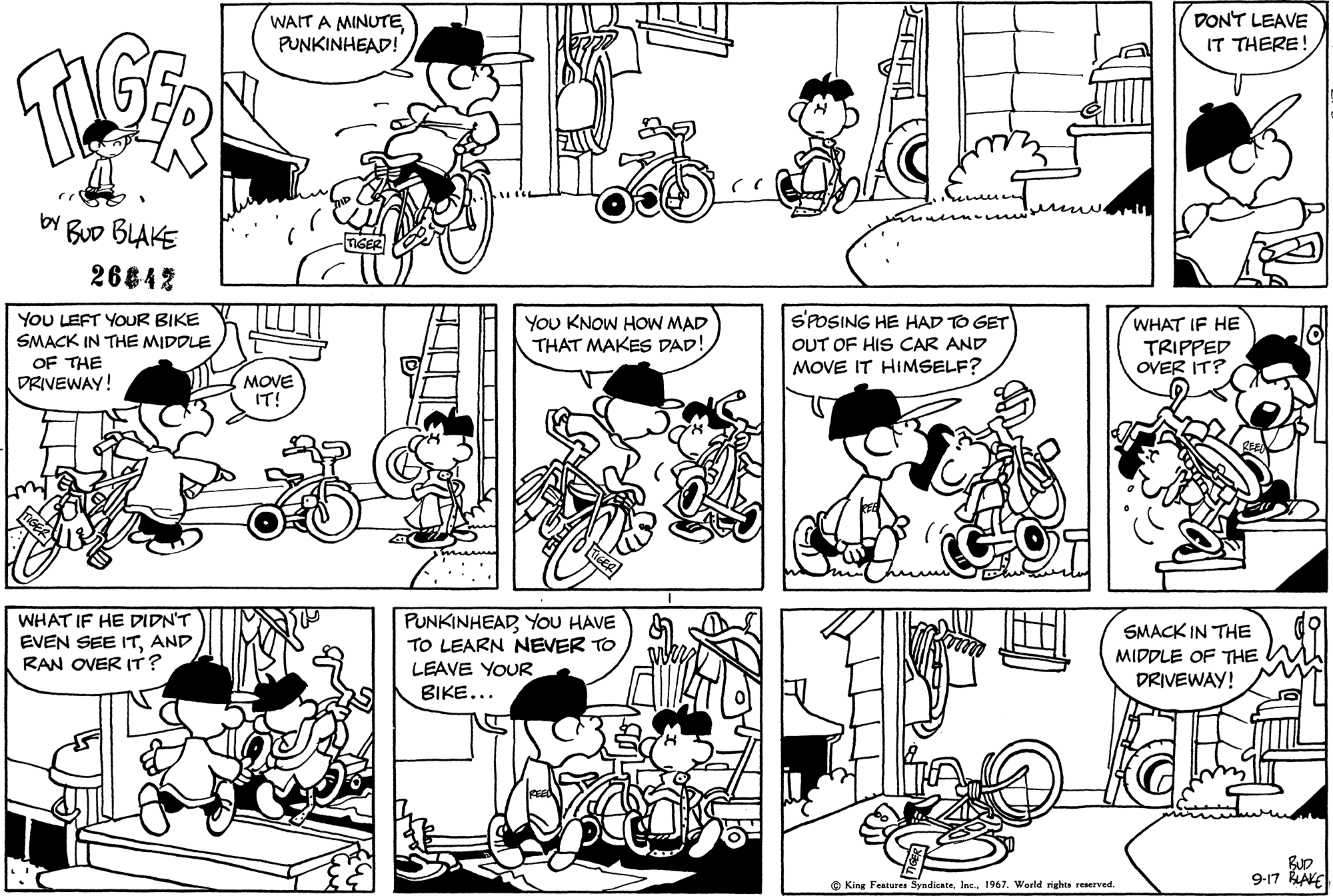 Read Tiger Vintage Sundays Manga Online