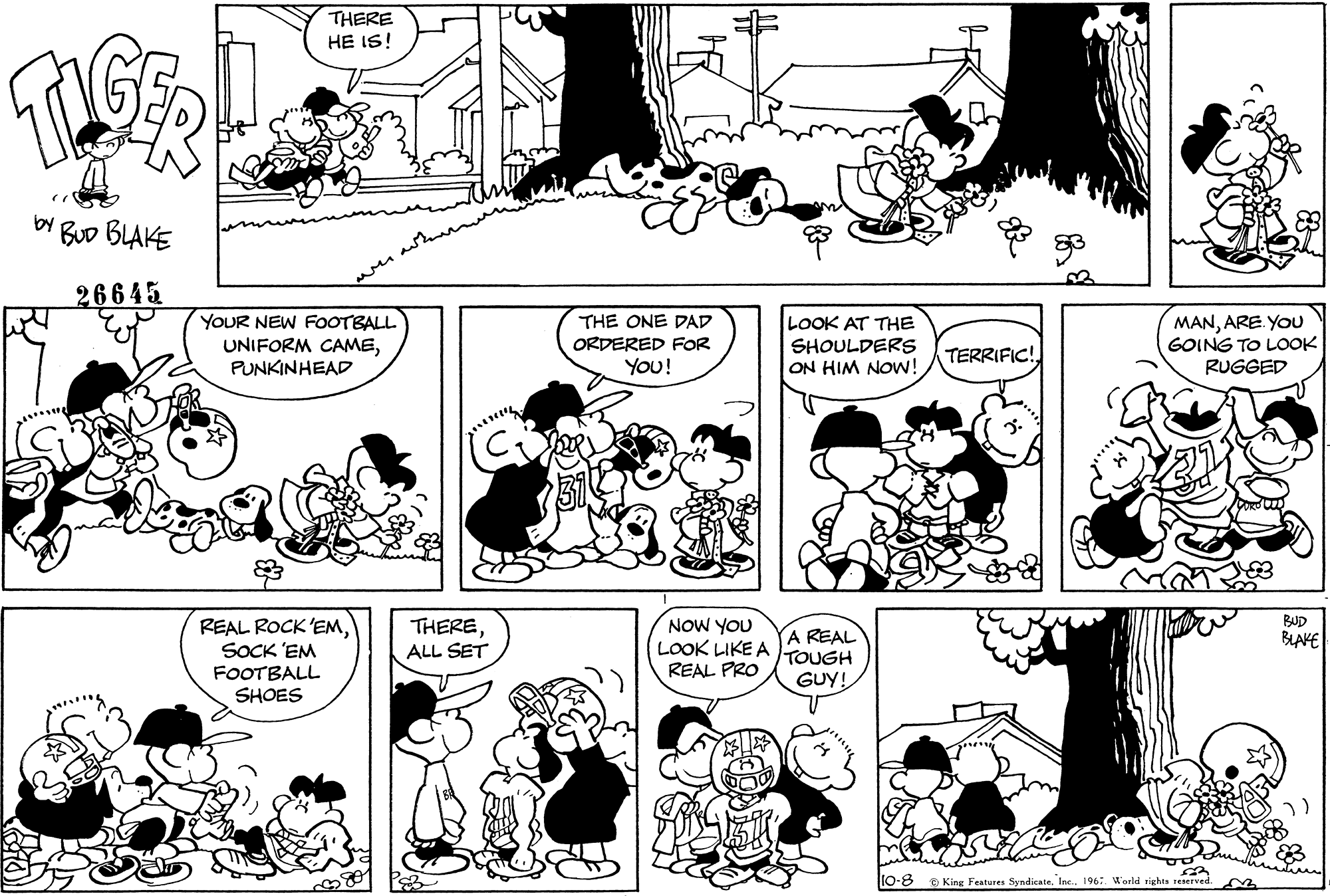 Read Tiger Vintage Sundays Manga Online