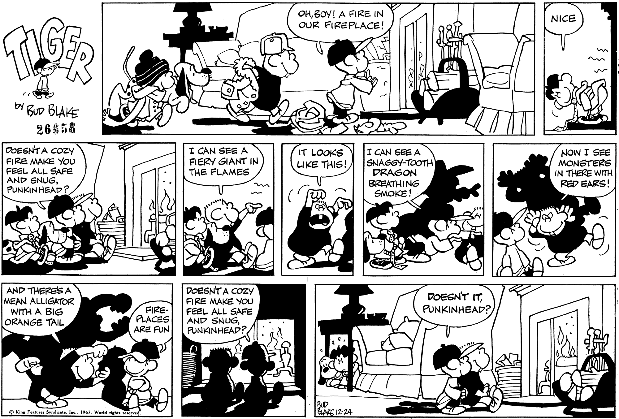 Read Tiger Vintage Sundays Manga Online