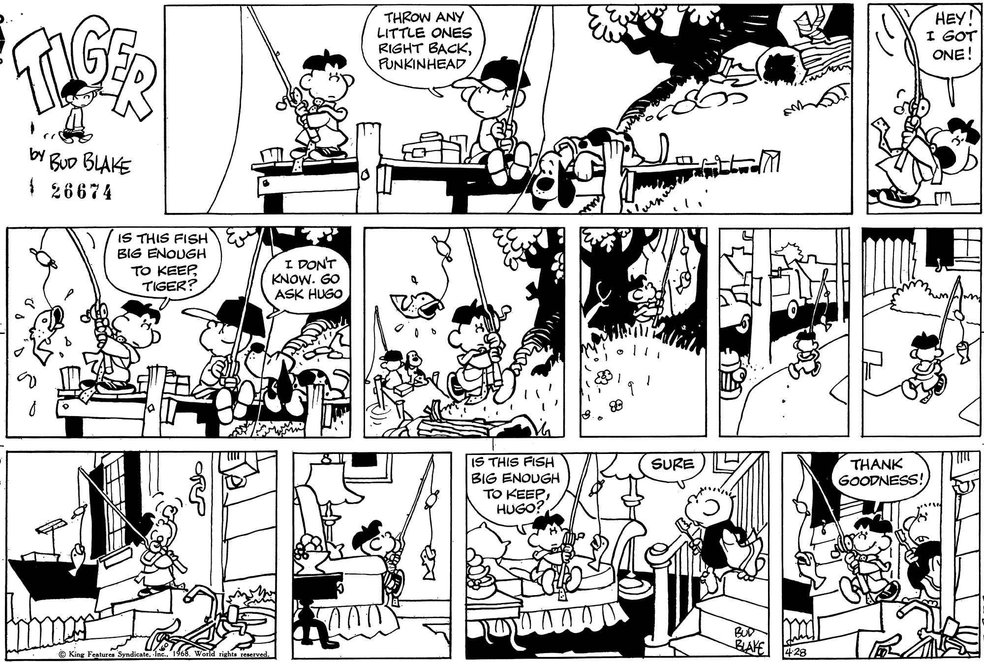 Read Tiger Vintage Sundays Manga Online