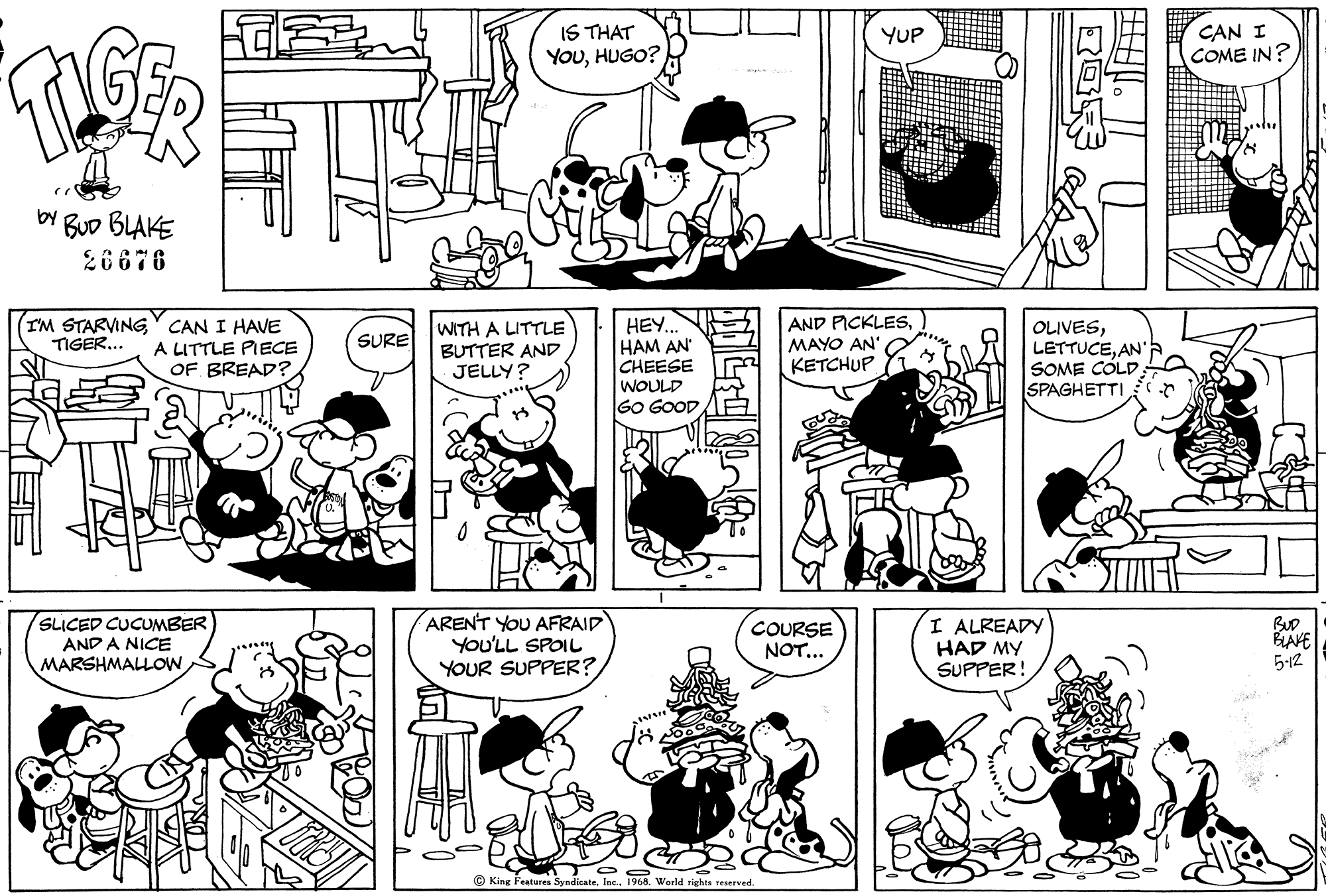 Read Tiger Vintage Sundays Manga Online