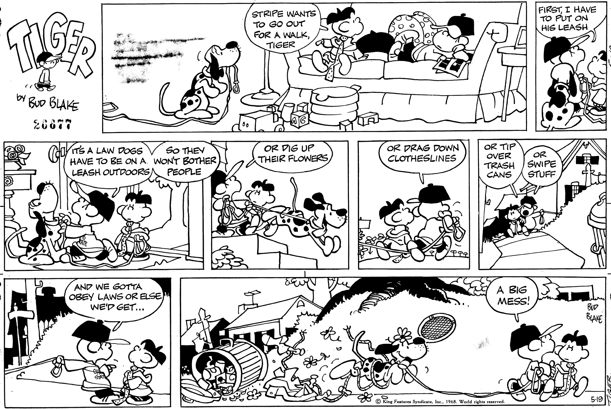 Read Tiger Vintage Sundays Manga Online