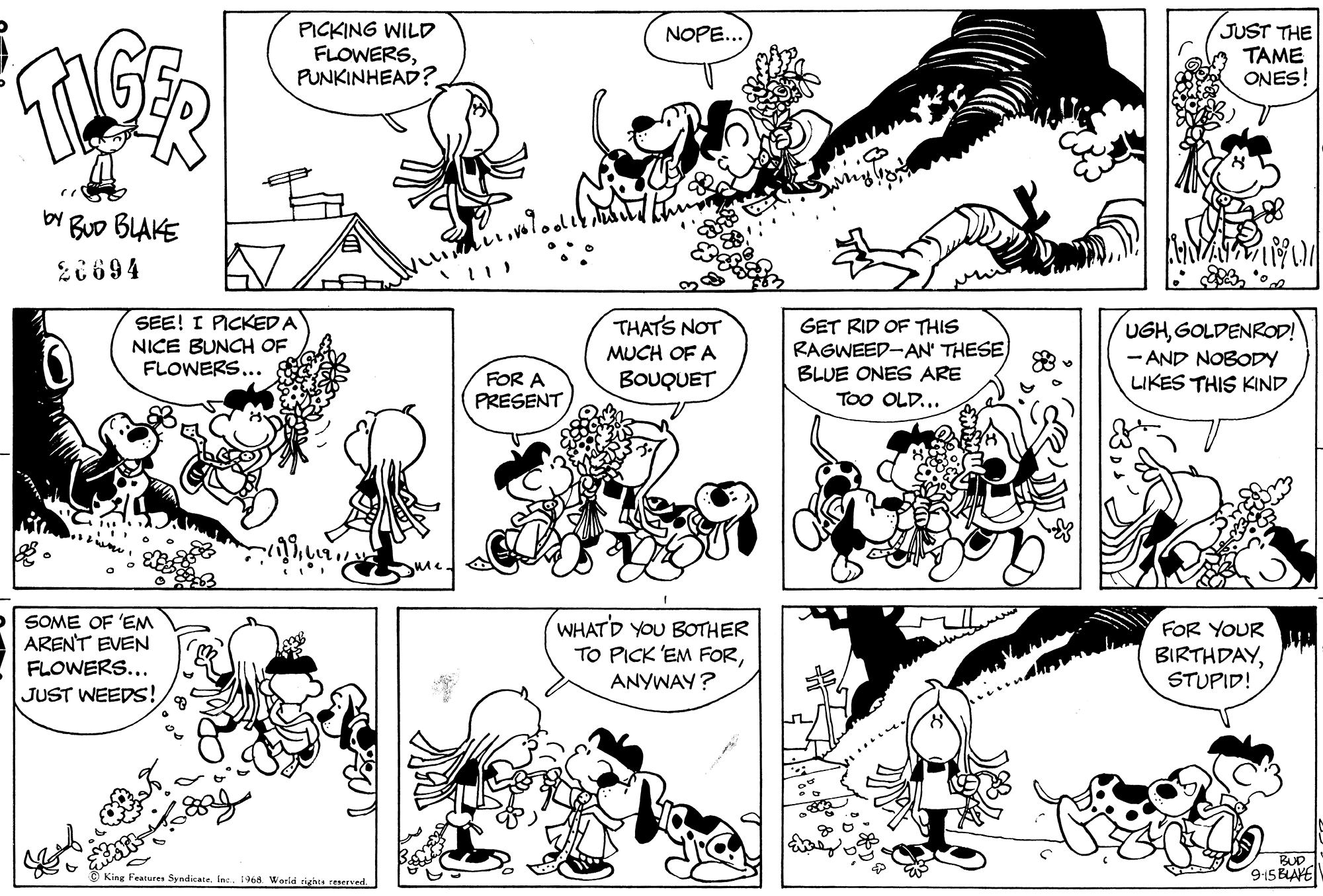 Read Tiger Vintage Sundays Manga Online