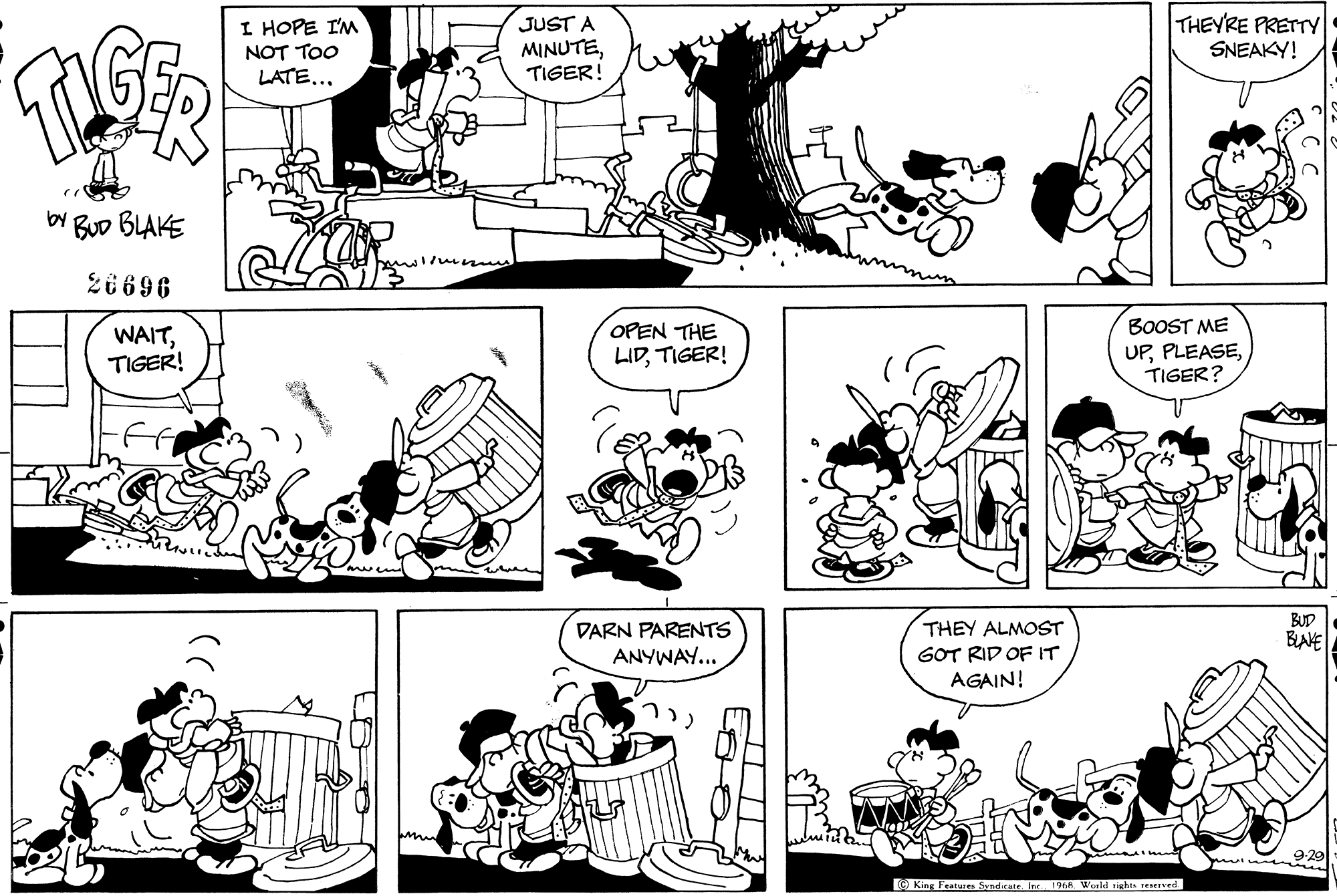 Read Tiger Vintage Sundays Manga Online