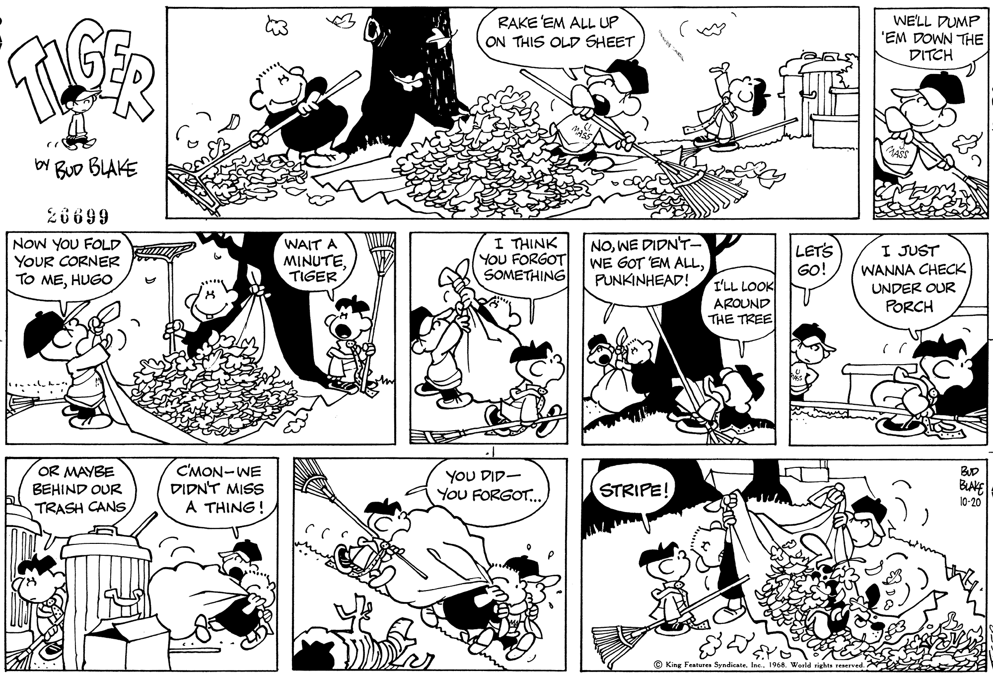 Read Tiger Vintage Sundays Manga Online