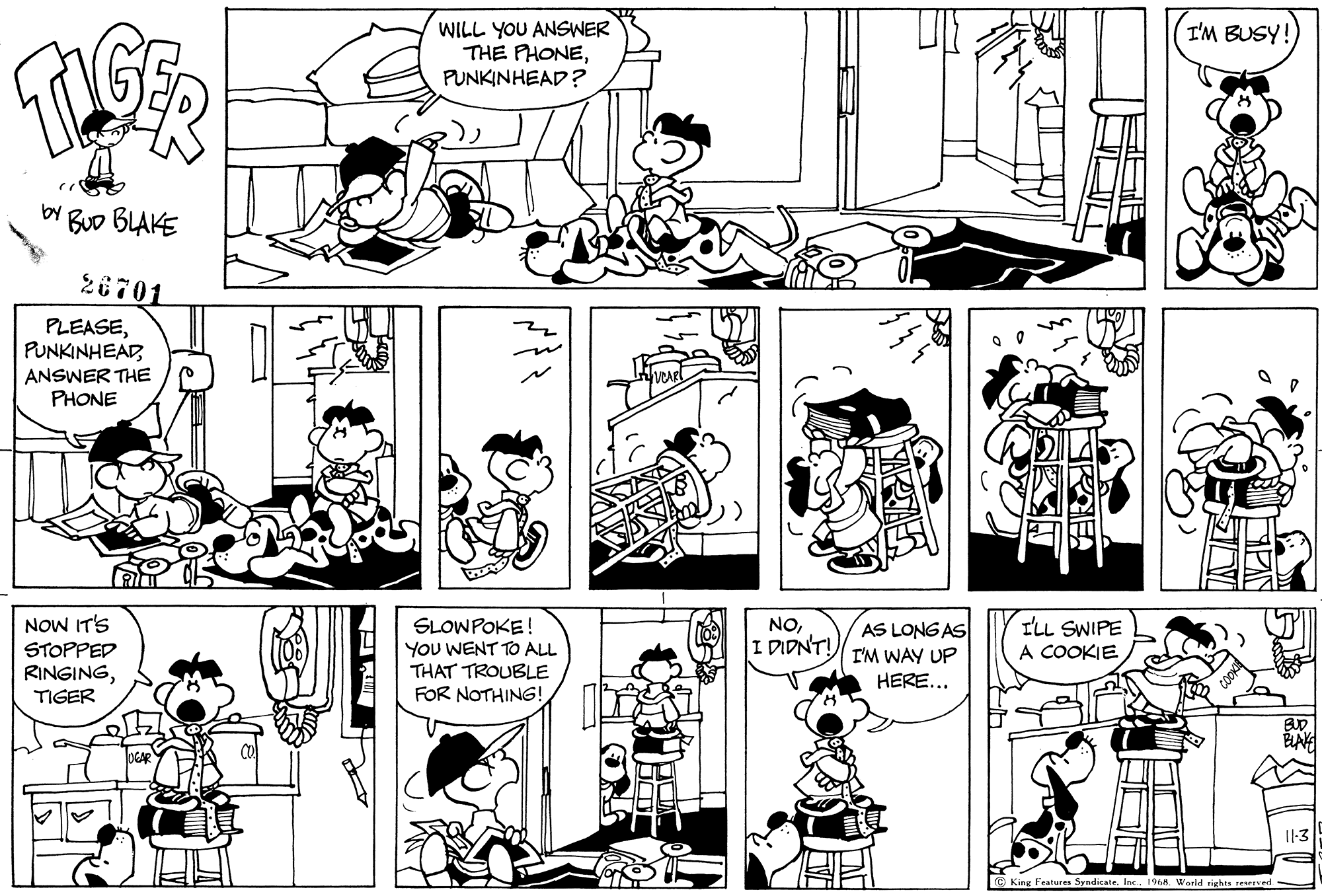 Read Tiger Vintage Sundays Manga Online