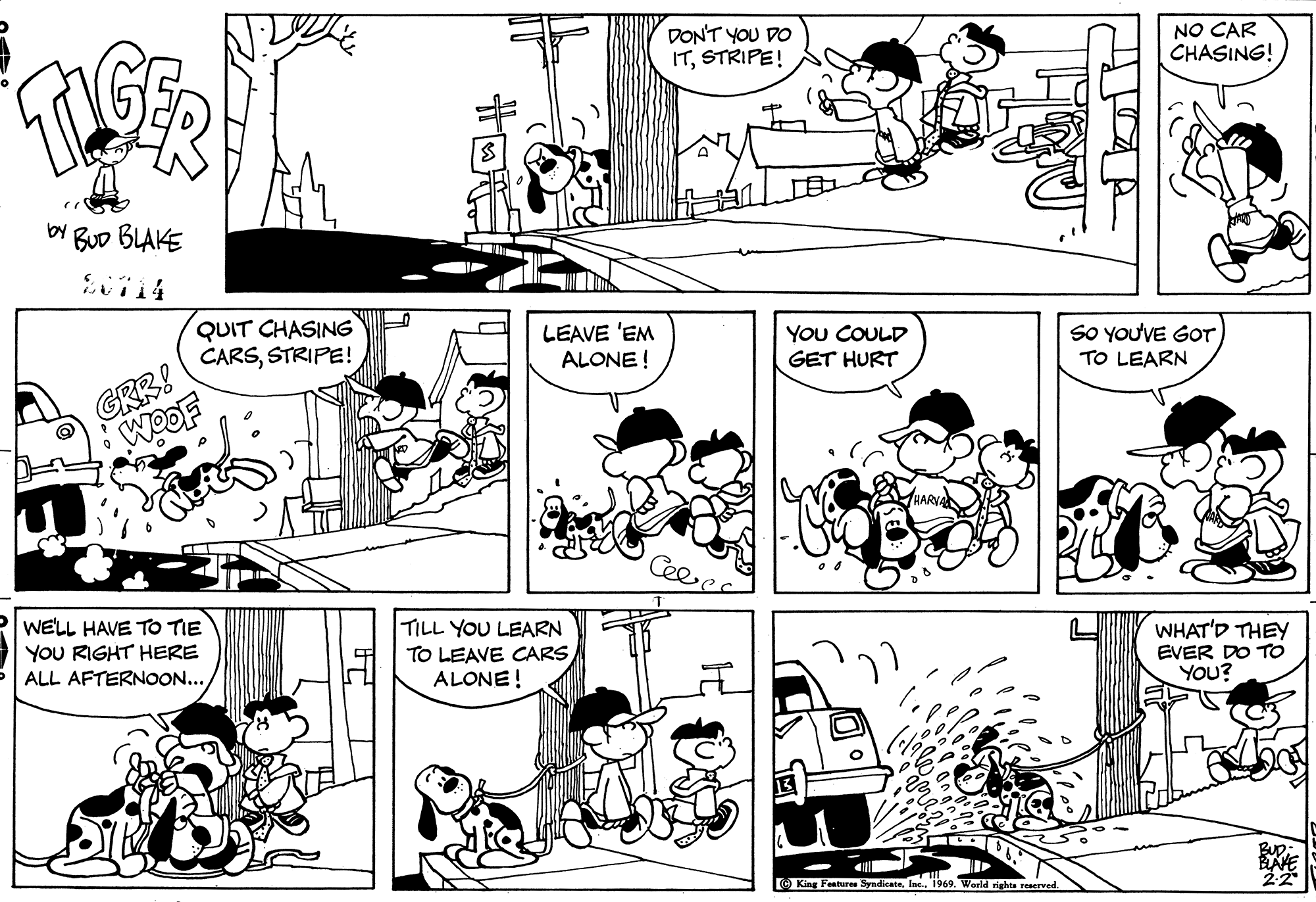 Read Tiger Vintage Sundays Manga Online