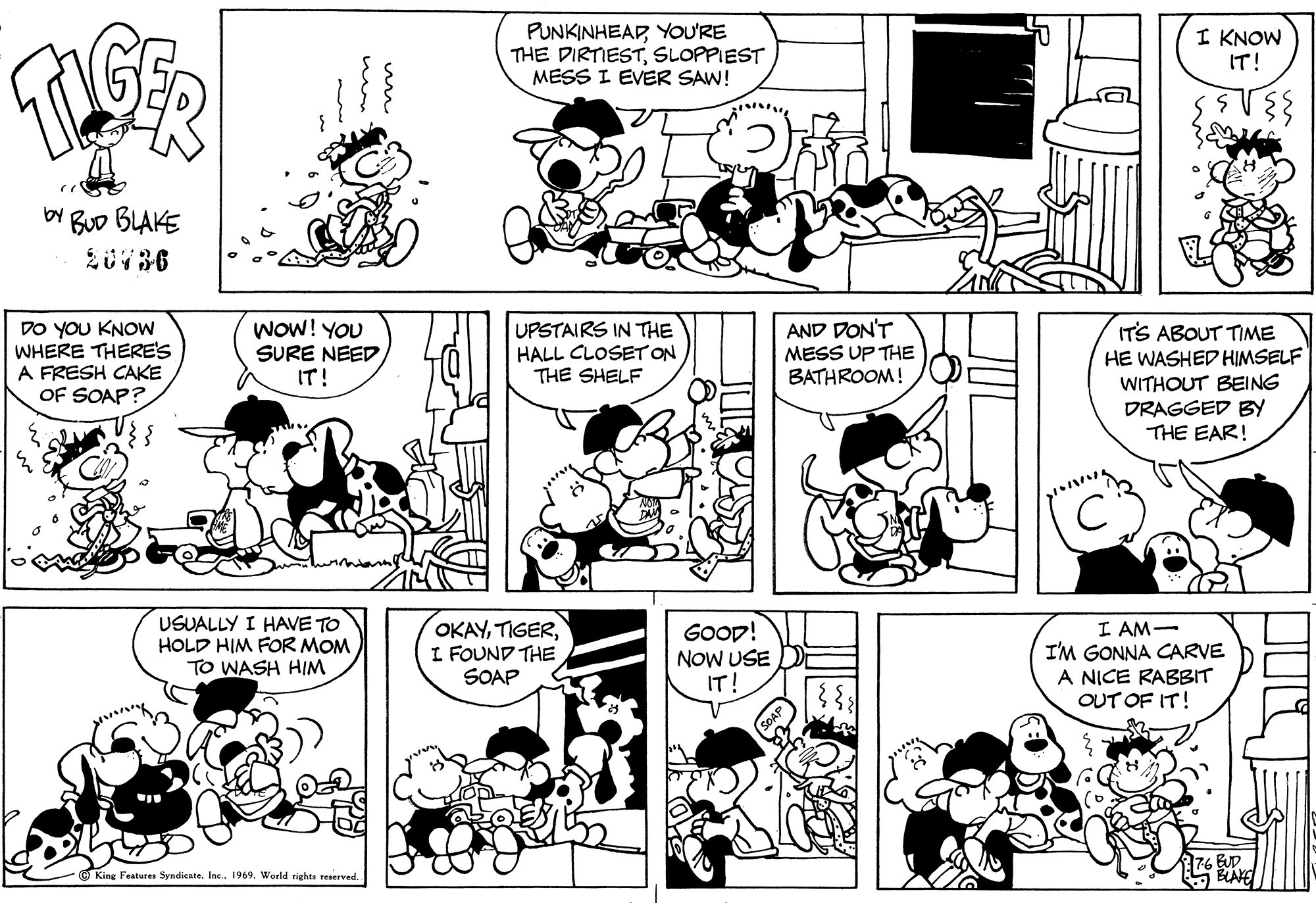 Read Tiger Vintage Sundays Manga Online