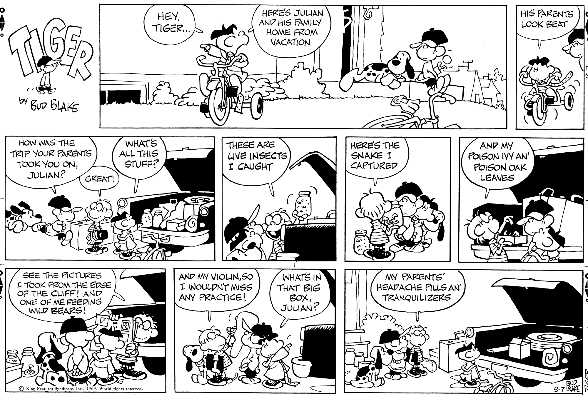 Read Tiger Vintage Sundays Manga Online