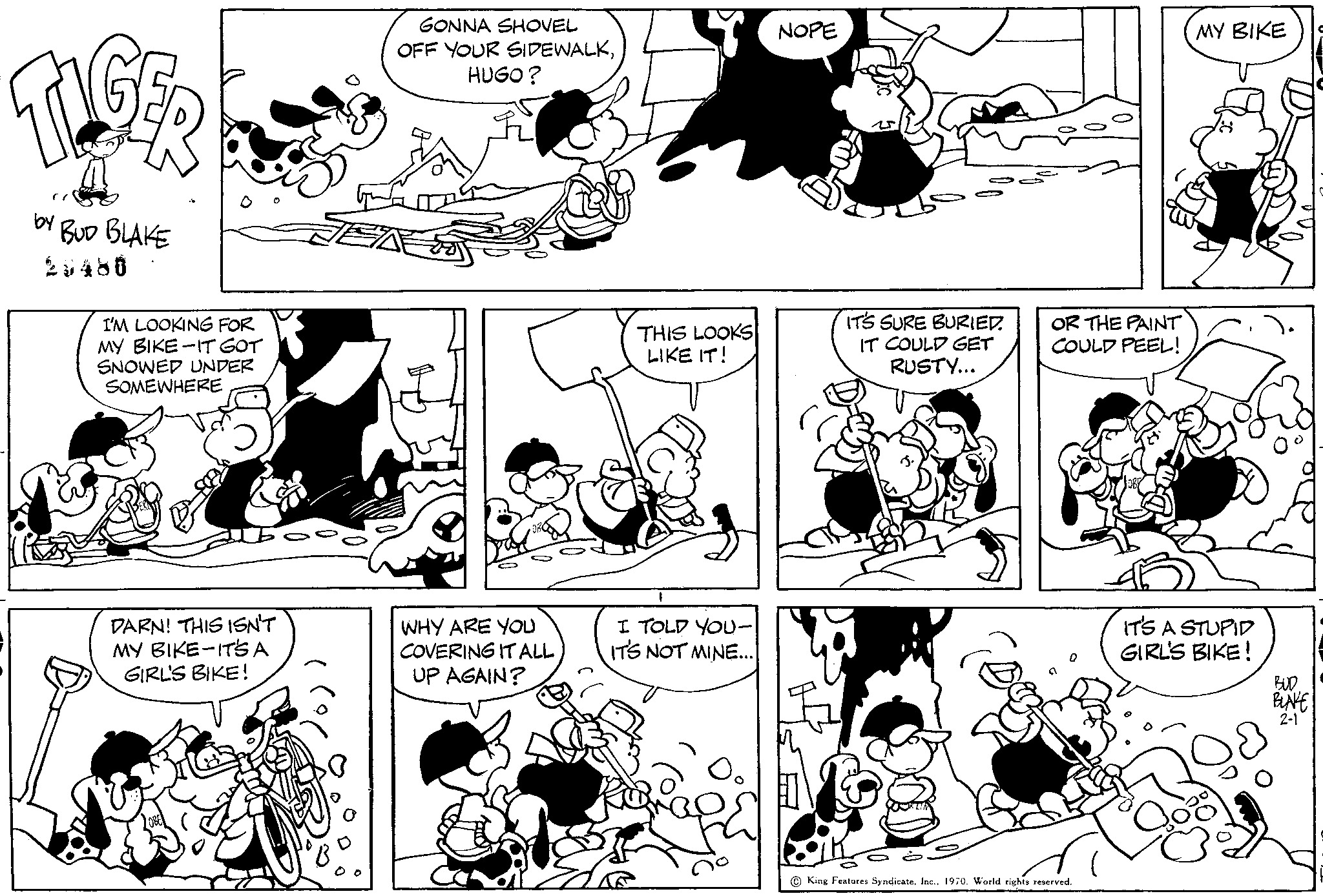 Read Tiger Vintage Sundays Manga Online