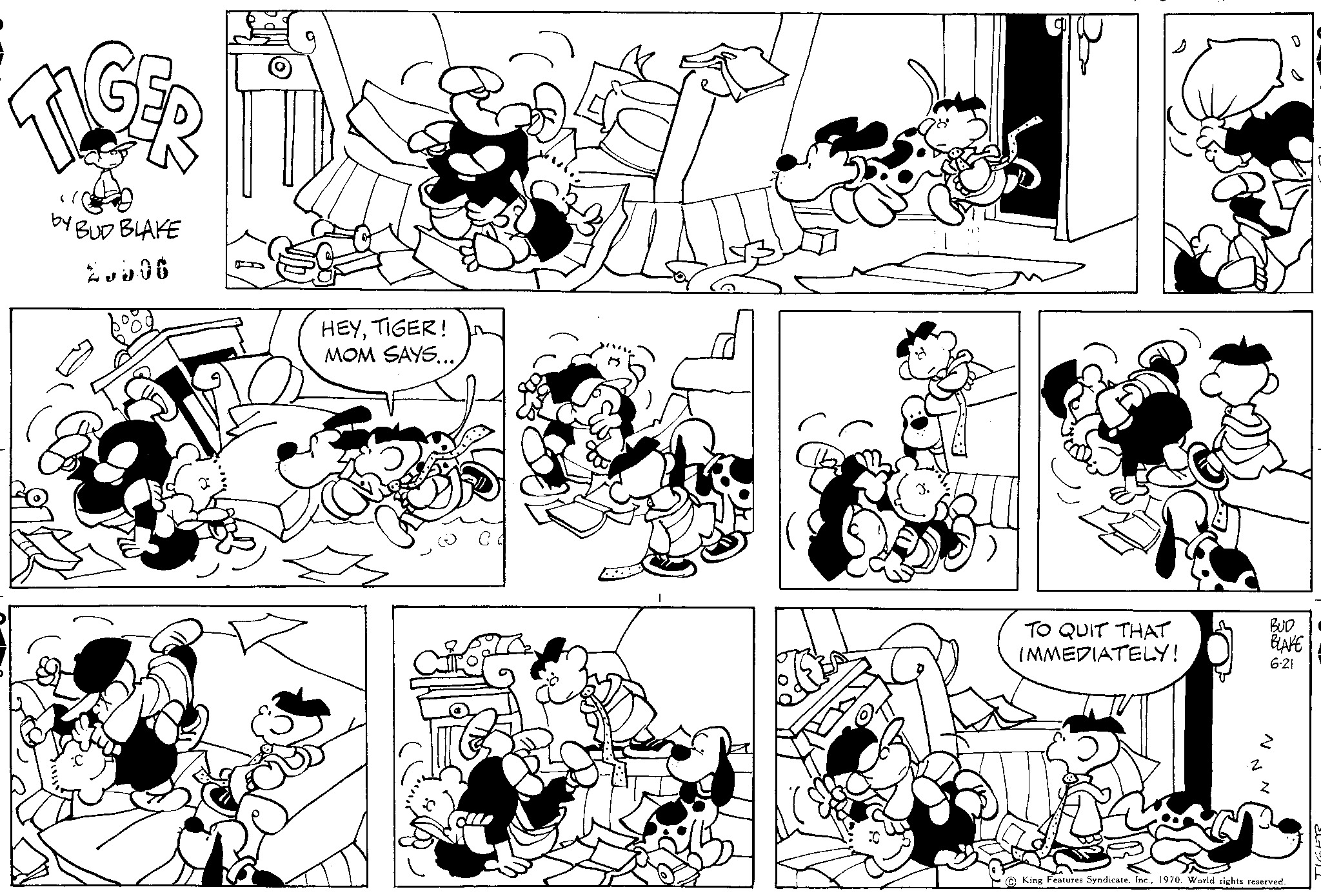 Read Tiger Vintage Sundays Manga Online