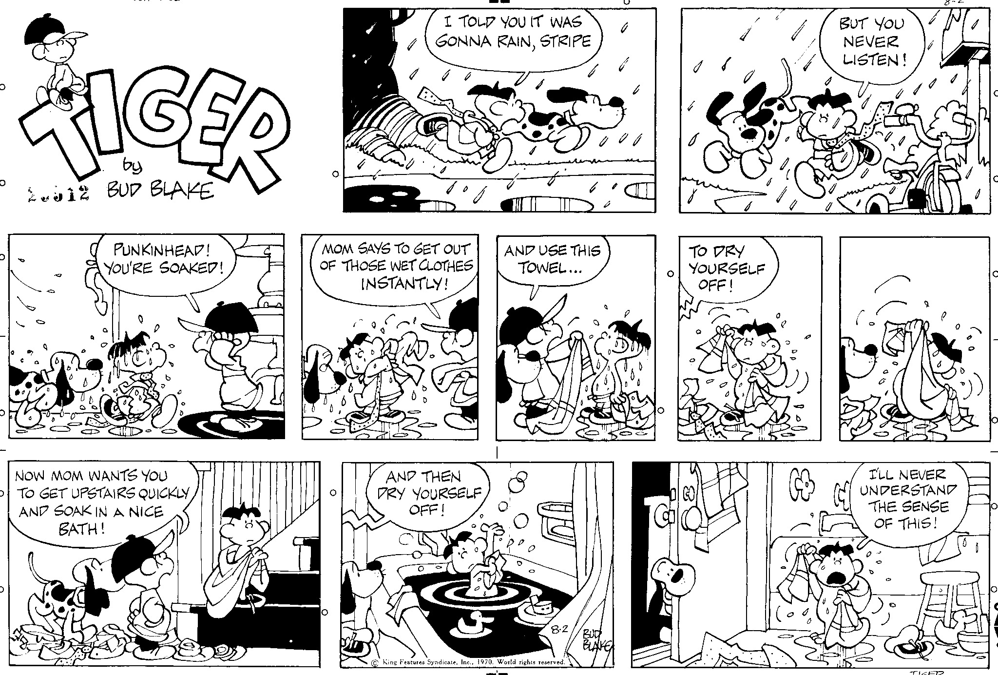 Read Tiger Vintage Sundays Manga Online