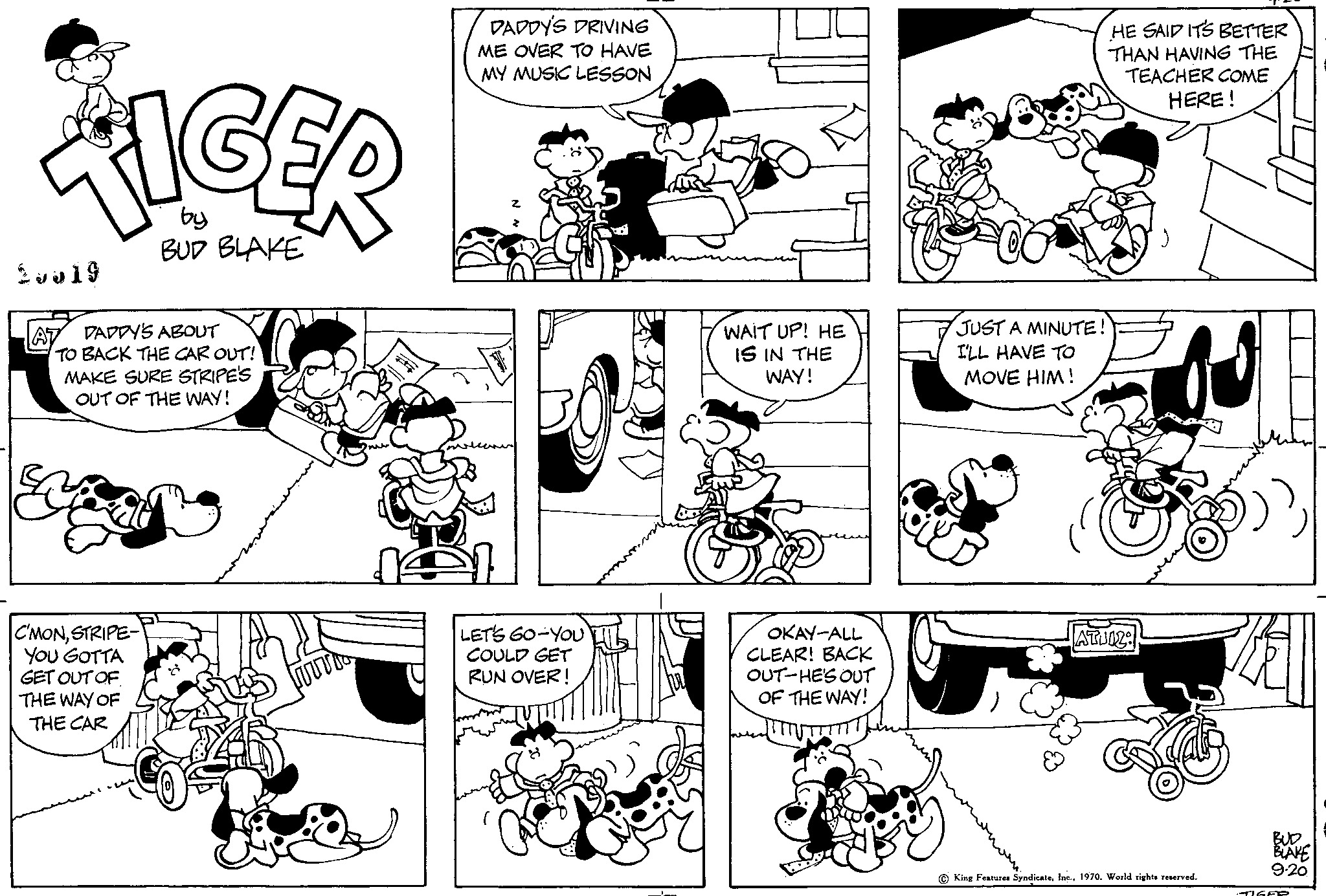 Read Tiger Vintage Sundays Manga Online
