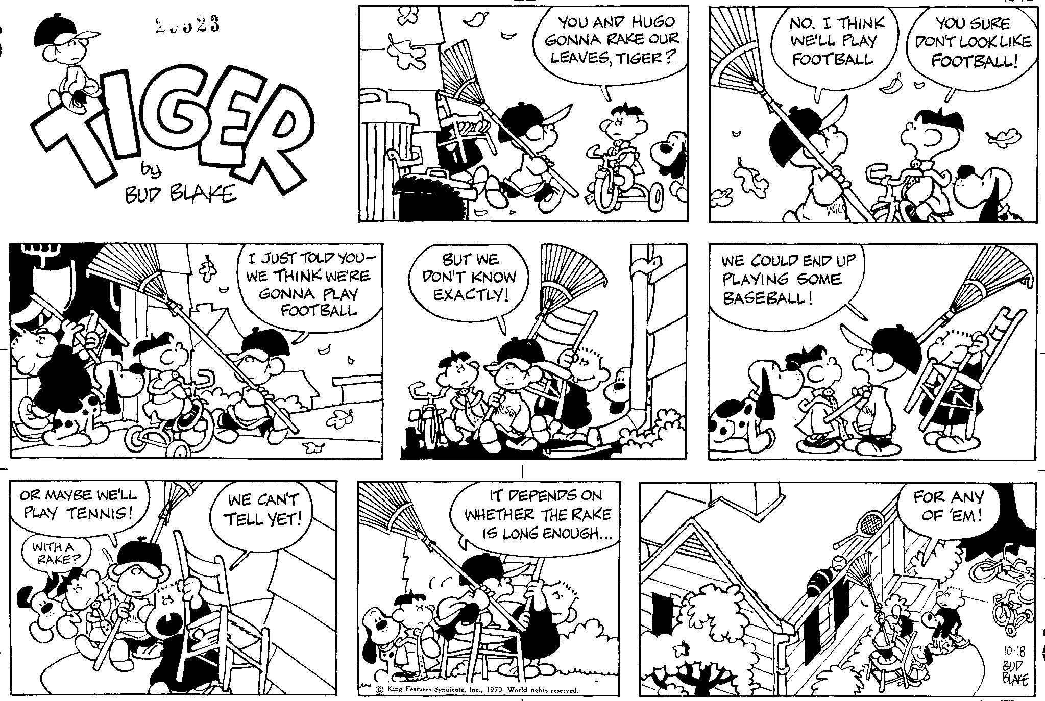 Read Tiger Vintage Sundays Manga Online