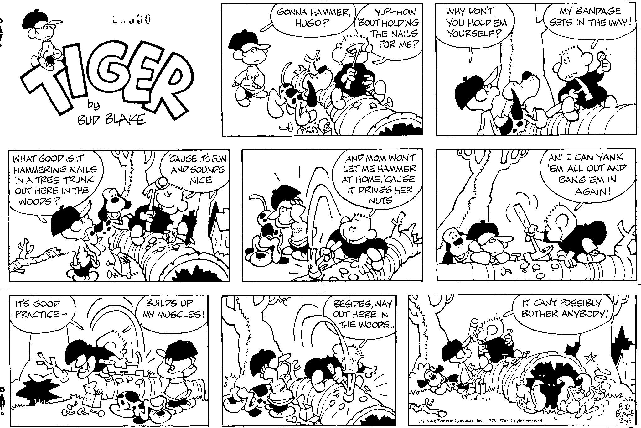 Read Tiger Vintage Sundays Manga Online