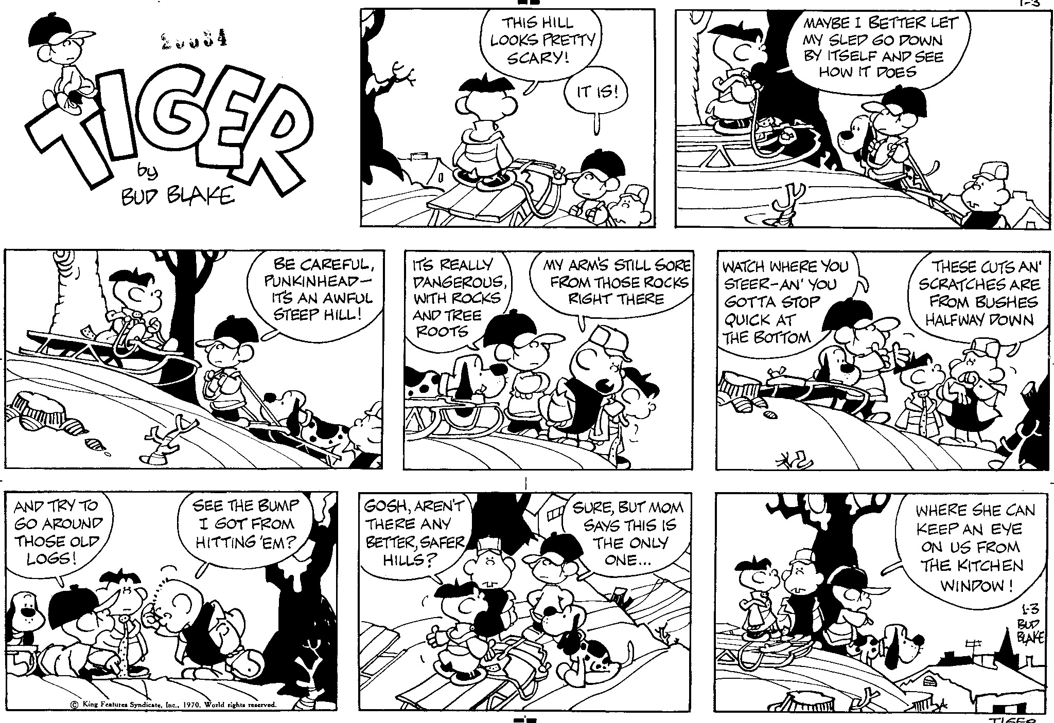 Read Tiger Vintage Sundays Manga Online