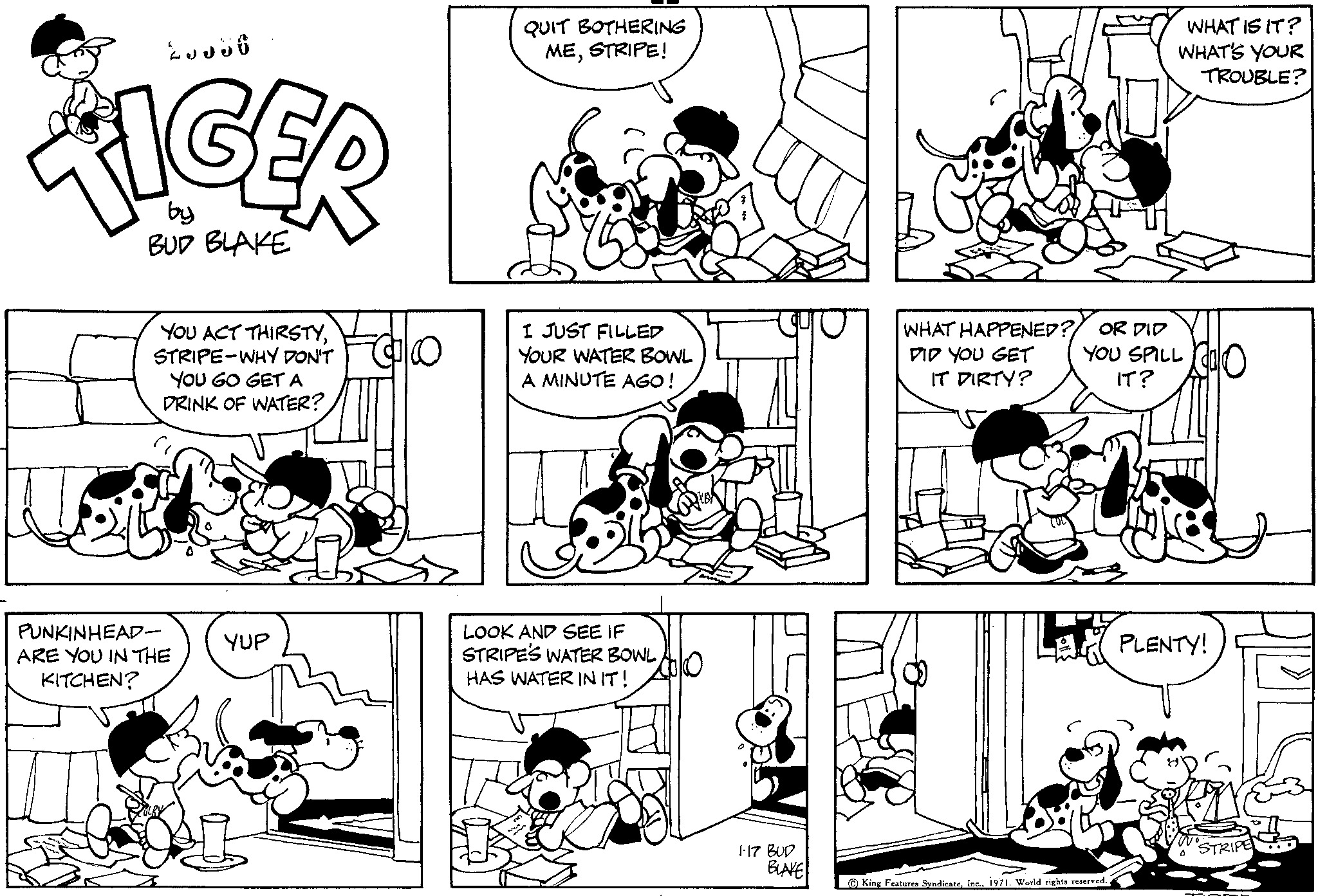 Read Tiger Vintage Sundays Manga Online