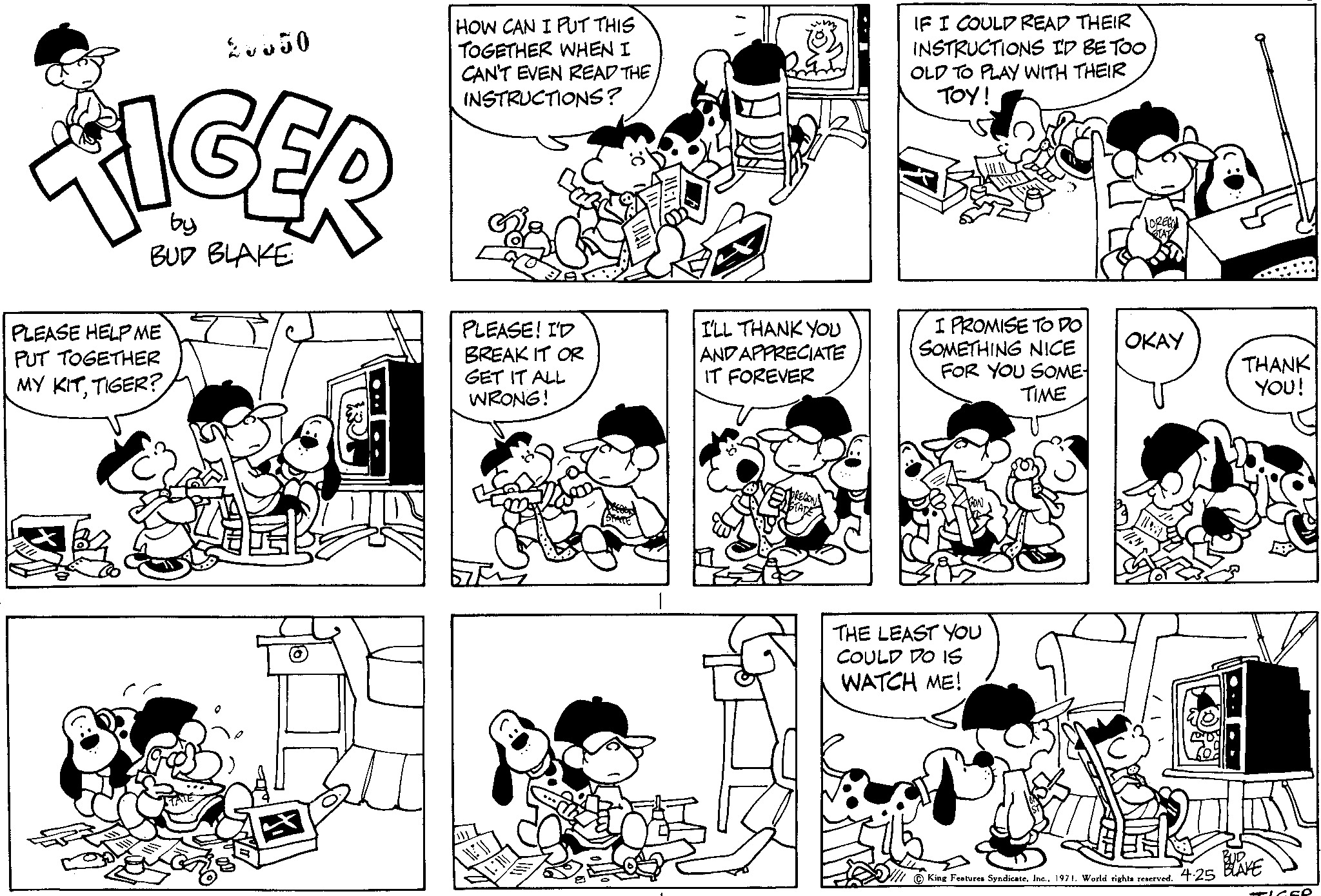 Read Tiger Vintage Sundays Manga Online