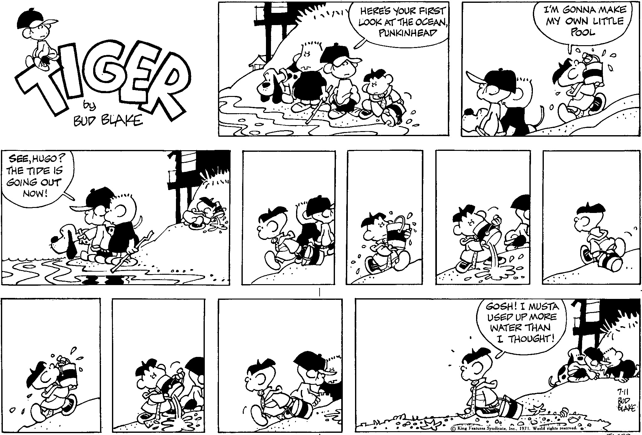 Read Tiger Vintage Sundays Manga Online