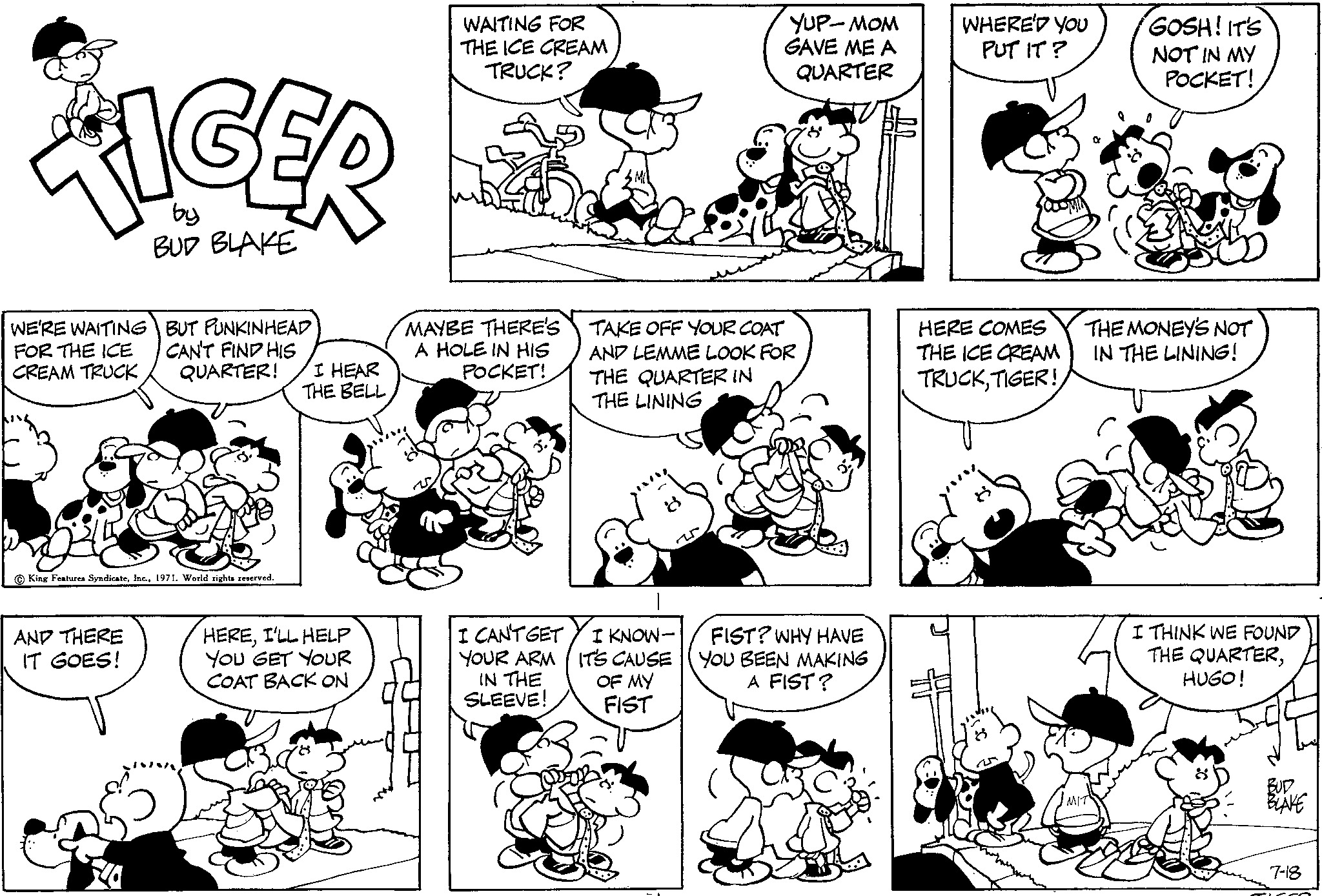 Read Tiger Vintage Sundays Manga Online