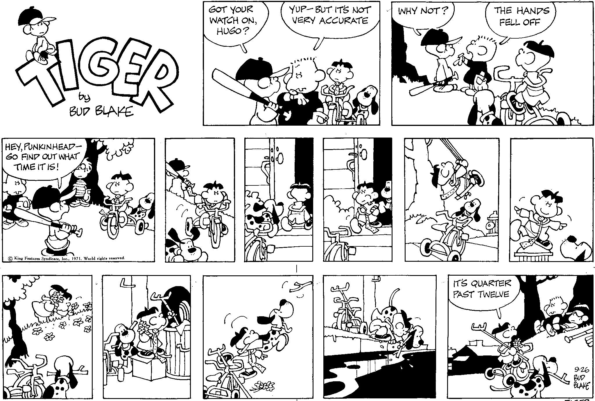 Read Tiger Vintage Sundays Manga Online