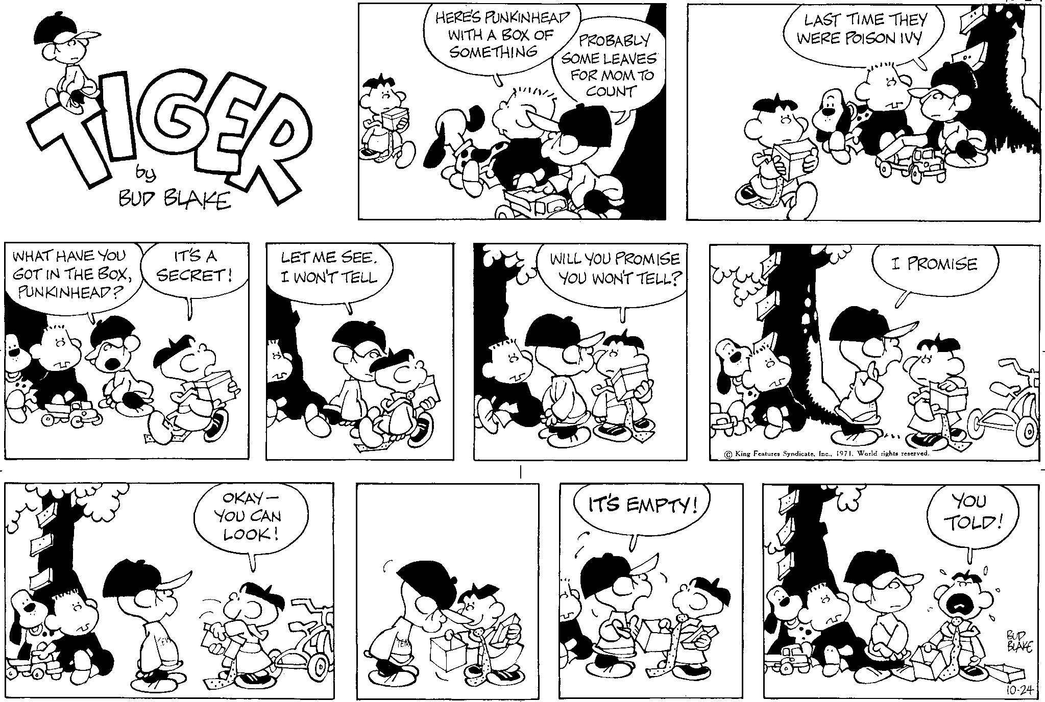 Read Tiger Vintage Sundays Manga Online